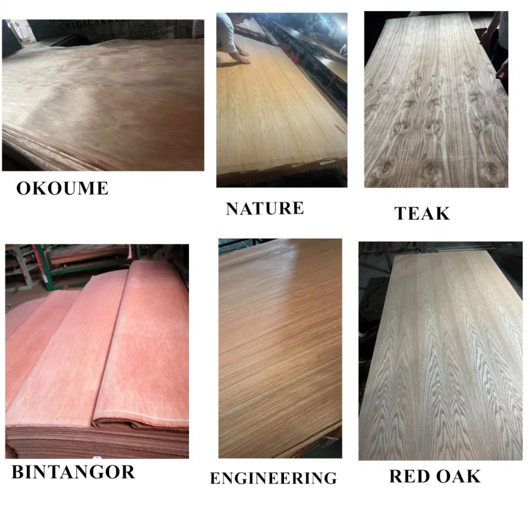China Manufacturer 4X8/Door Size WBP Glue Red Oak/Rose Wood Price Laminated Bangladesh Wooden Door Teak Engineered Natural Wood Veneer Price for Plywood Board