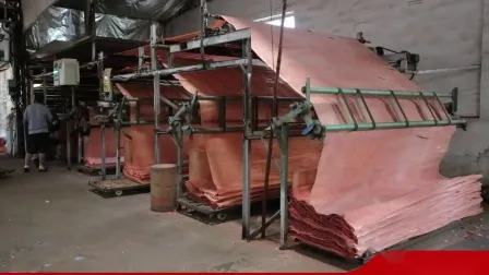 Bintangor Wood Veneer, Pine Wood Veneer, Birch Veneer, Okoume Wood Veneer for Indian, Vietnam for Plywood Face Veneer 